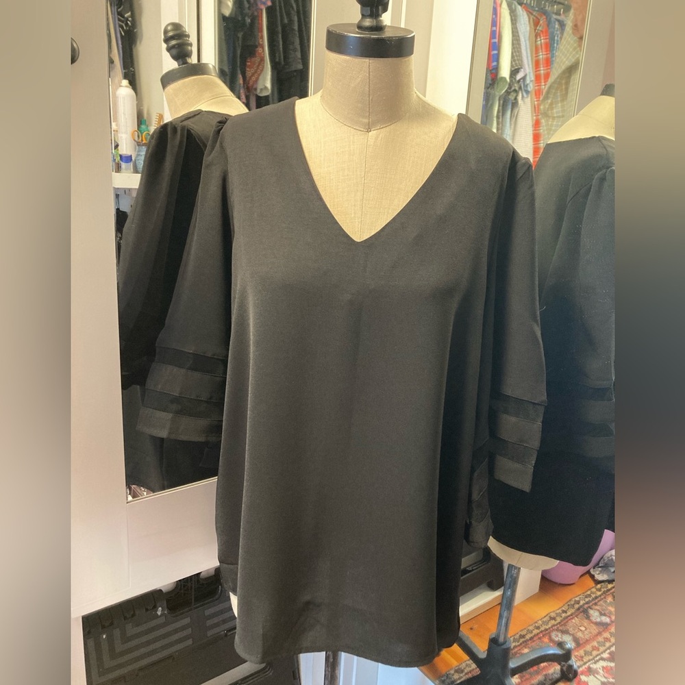 No Brand Tag, Elegant Black V-Neck Sheer Sleeve Top, Fits like a Large